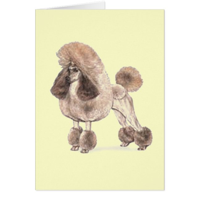 Poodle — Coat anzeigen (Vorne)