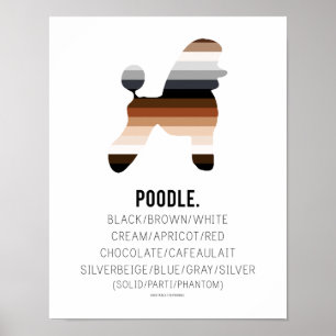 Poodle Colors Print by HUXSHOP Poster