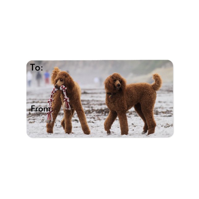 Poodle Day 2010 #10 Adressaufkleber (Vorne)