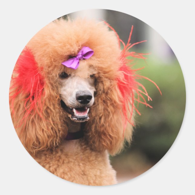 Poodle Day 2010 #1 Runder Aufkleber (Vorderseite)
