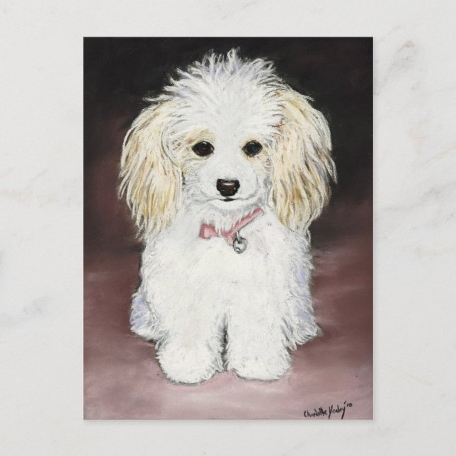 Poodle Dog Art Postkarte (Vorderseite)