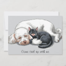 Poodle Dog Cat Come Curl Up Holiday Card