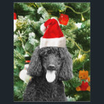 Poodle Dog Christmas Tree Snowman Red Weihnachtsma<br><div class="desc">Niedlicher Poodle Hund mit roter Weihnachtsmannmütze mit Weihnachtsbaumschneedekor im Hintergrund.</div>