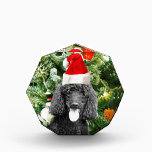 Poodle Dog Christmas Tree Snowman Red Weihnachtsma Auszeichnung<br><div class="desc">Niedlicher Poodle Hund mit roter Weihnachtsmannmütze mit Weihnachtsbaumschneedekor im Hintergrund.</div>