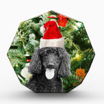 Poodle Dog Christmas Tree Snowman Red Weihnachtsma Auszeichnung<br><div class="desc">Niedlicher Poodle Hund mit roter Weihnachtsmannmütze mit Weihnachtsbaumschneedekor im Hintergrund.</div>