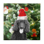 Poodle Dog Christmas Tree Snowman Red Weihnachtsma Fliese<br><div class="desc">Niedlicher Poodle Hund mit roter Weihnachtsmannmütze mit Weihnachtsbaumschneedekor im Hintergrund.</div>