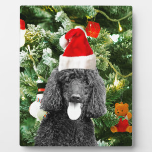 Poodle Dog Christmas Tree Snowman Red Weihnachtsma Fotoplatte