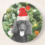 Poodle Dog Christmas Tree Snowman Red Weihnachtsma Getränkeuntersetzer<br><div class="desc">Niedlicher Poodle Hund mit roter Weihnachtsmannmütze mit Weihnachtsbaumschneedekor im Hintergrund.</div>