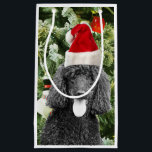 Poodle Dog Christmas Tree Snowman Red Weihnachtsma Kleine Geschenktüte<br><div class="desc">Niedlicher Poodle Hund mit roter Weihnachtsmannmütze mit Weihnachtsbaumschneedekor im Hintergrund.</div>