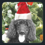 Poodle Dog Christmas Tree Snowman Red Weihnachtsma Quadratischer Aufkleber<br><div class="desc">Niedlicher Poodle Hund mit roter Weihnachtsmannmütze mit Weihnachtsbaumschneedekor im Hintergrund.</div>