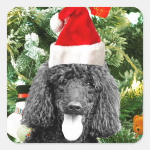 Poodle Dog Christmas Tree Snowman Red Weihnachtsma Quadratischer Aufkleber