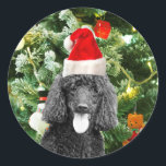 Poodle Dog Christmas Tree Snowman Red Weihnachtsma Runder Aufkleber<br><div class="desc">Niedlicher Poodle Hund mit roter Weihnachtsmannmütze mit Weihnachtsbaumschneedekor im Hintergrund.</div>
