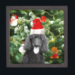 Poodle Dog Christmas Tree Snowman Red Weihnachtsma Schmuckkiste<br><div class="desc">Niedlicher Poodle Hund mit roter Weihnachtsmannmütze mit Weihnachtsbaumschneedekor im Hintergrund.</div>