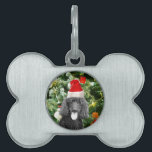 Poodle Dog Christmas Tree Snowman Red Weihnachtsma Tiermarke<br><div class="desc">Niedlicher Poodle Hund mit roter Weihnachtsmannmütze mit Weihnachtsbaumschneedekor im Hintergrund.</div>