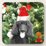 Poodle Dog Christmas Tree Snowman Red Weihnachtsma Untersetzer<br><div class="desc">Niedlicher Poodle Hund mit roter Weihnachtsmannmütze mit Weihnachtsbaumschneedekor im Hintergrund.</div>