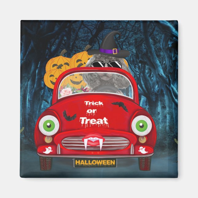 Poodle Dog Driving Car Beängstigend Halloween Magnet (Vorne)