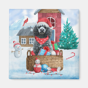 Poodle Dog In snow Christmas Dog House  Throw Pill Magnet