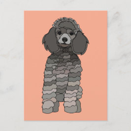 Poodle Dog Pet Postkarte