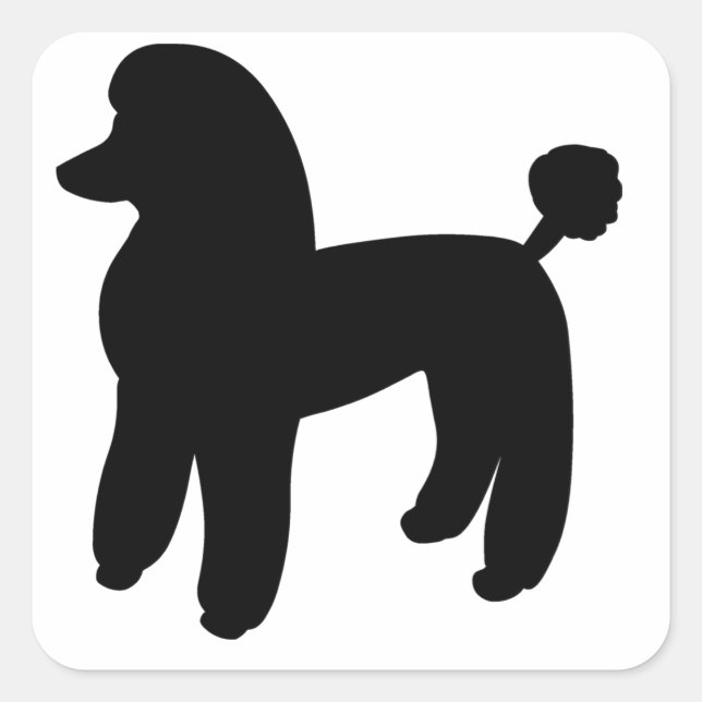 Poodle Dog Quadratischer Aufkleber (Vorderseite)