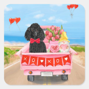 Poodle Dog Valentine's Day Lkw Herz Quadratischer Aufkleber