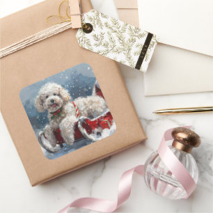 Poodle Dog Weihnachtsfest Quadratischer Aufkleber