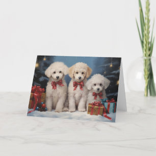 Poodle Dog Weihnachtskarte Dankeskarte