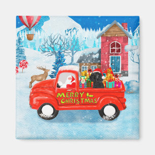 Poodle Dog Weihnachtswagen Schnee Magnet