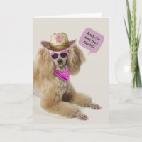 Poodle Geburtstagskarte durch Fokus für eine Sache