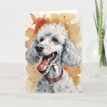 Poodle Grußkarte