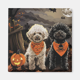 Poodle Halloween Spooky Magnet