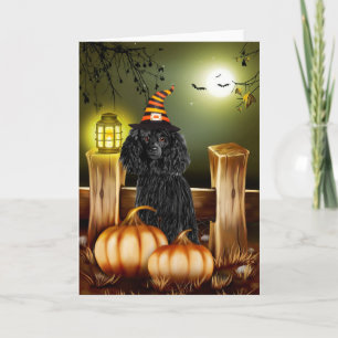 Poodle Hund mit Hexenhut Halloween Karte