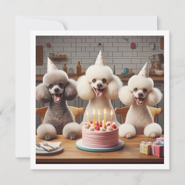 Poodle Hundkarte, Poodle Geburtstag Einladung (Vorderseite)