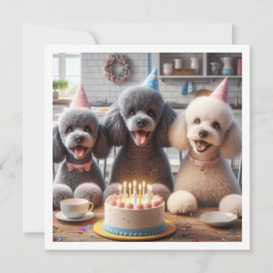 Poodle Hundkarte, Poodle Geburtstag Einladung