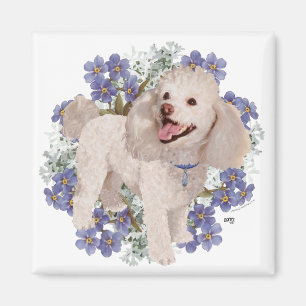 Poodle Magnet