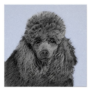 Poodle Malerei Miniaturspielzeug Schwarze Kunst Poster