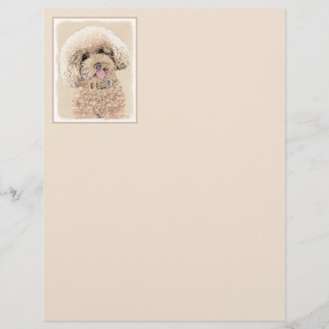 Poodle Miniatur Spielzeug Apricot Cream Brown Dog  (Vorderseite)