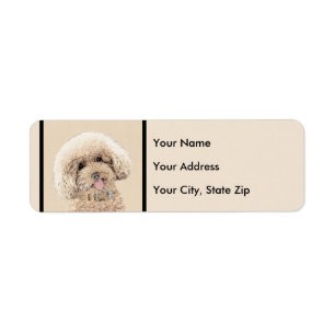 Poodle Miniatur Spielzeug Apricot Cream Brown Dog 