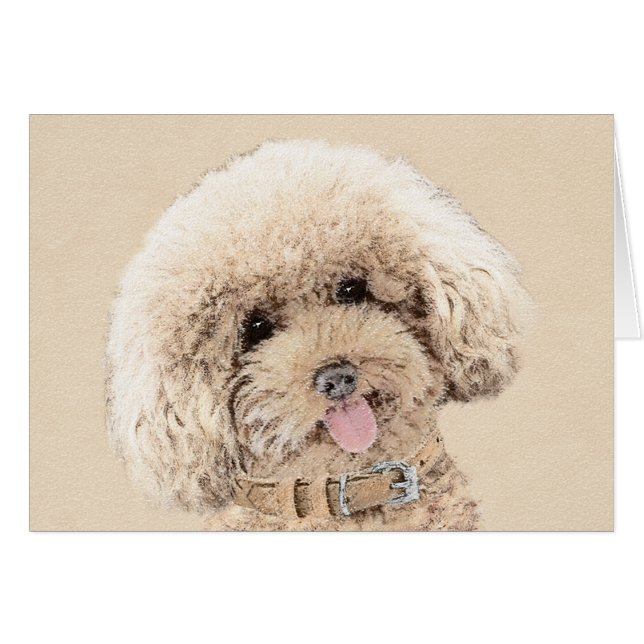 Poodle Miniatur Spielzeug Apricot Cream Brown Dog  (Vorderseite (Horizontal))