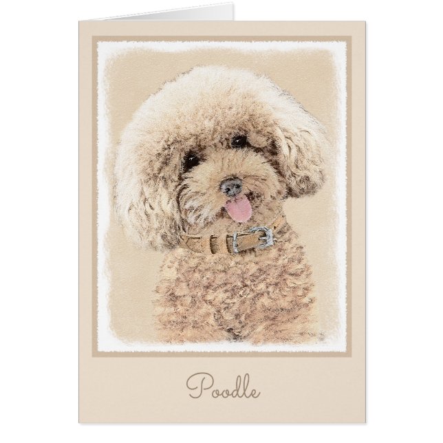 Poodle Miniatur Spielzeug Apricot Cream Brown Dog  (Vorne)