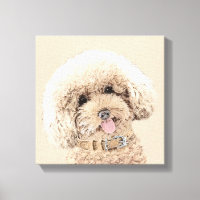 Poodle Miniatur Spielzeug Apricot Cream Brown Dog