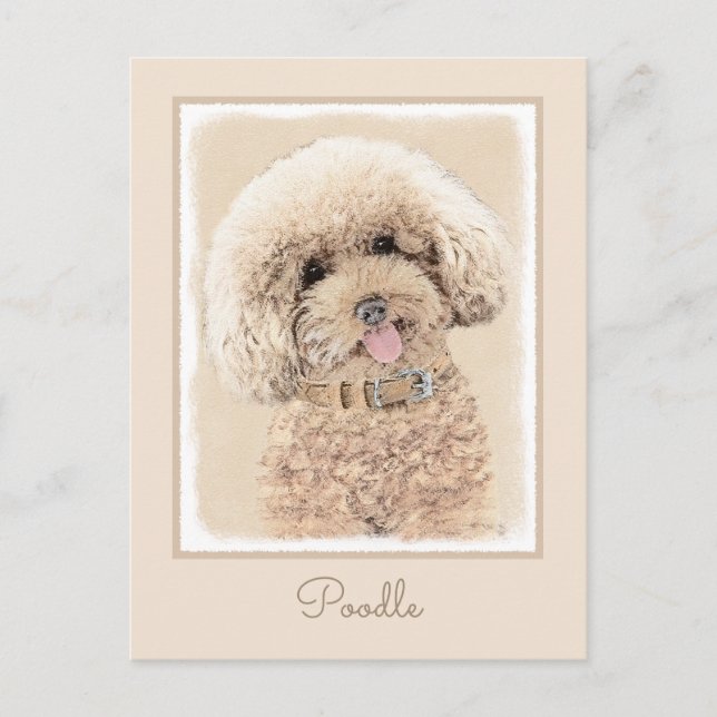 Poodle Miniatur Spielzeug Apricot Cream Brown Dog  Postkarte (Vorderseite)