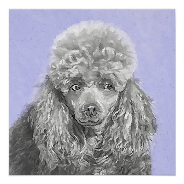 Poodle Miniatur Spielzeug Silver Gray Blue Hund Ku Poster (Vorderseite)