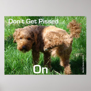 Poodle - Nicht pissen - Poster