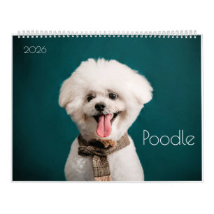 Poodle Niedlich Poodle Welpen - Kalender 2024
