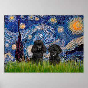 Poodle-Paar (schwarz) - Sternennacht Poster