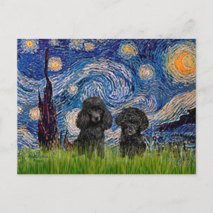 Poodle-Paar (schwarz) - Sternennacht Postkarte