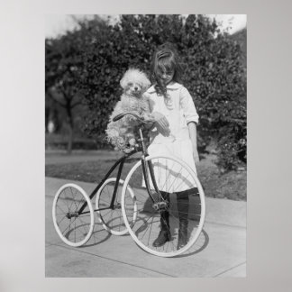 Poodle Perch, 1913 Poster