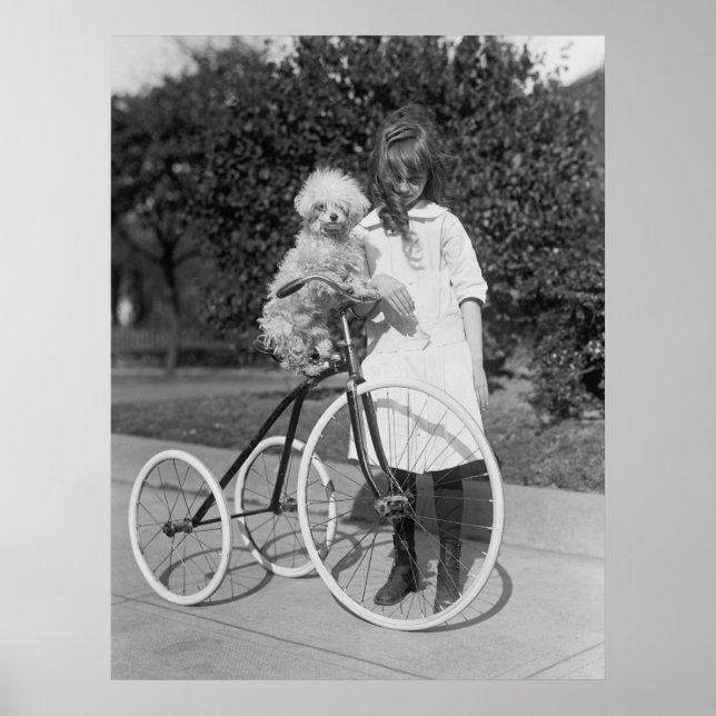 Poodle Perch, 1913 Poster (Vorne)