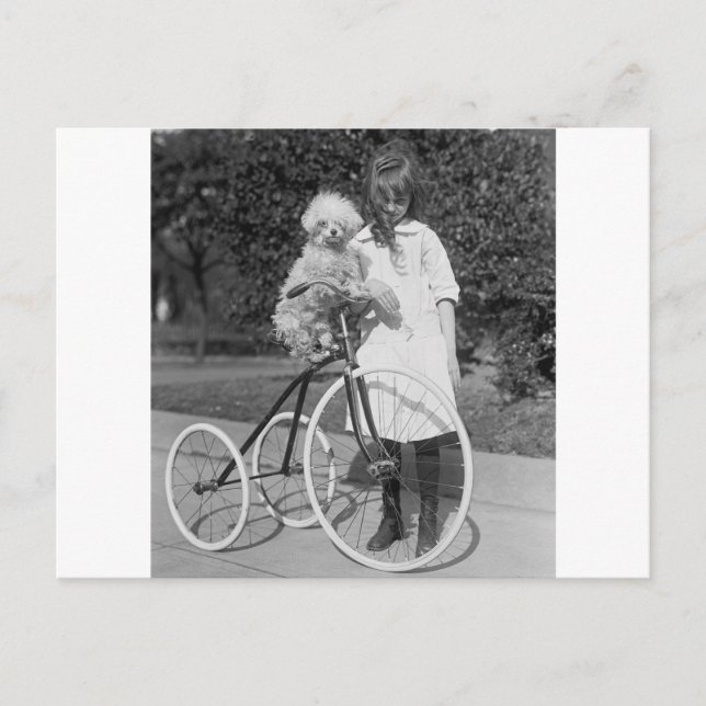 Poodle Perch, 1913 Postkarte (Vorderseite)