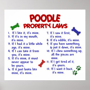 POODLE PL2 POSTER